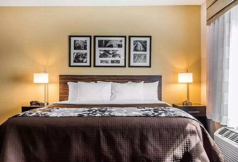 酒店 Wingate By Wyndham Jonesboro La