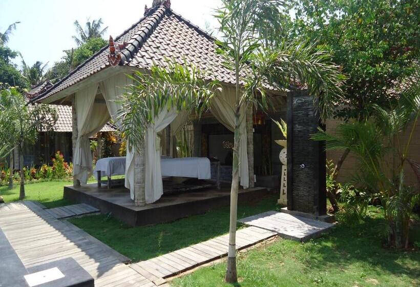 酒店 The Palm Grove Villas