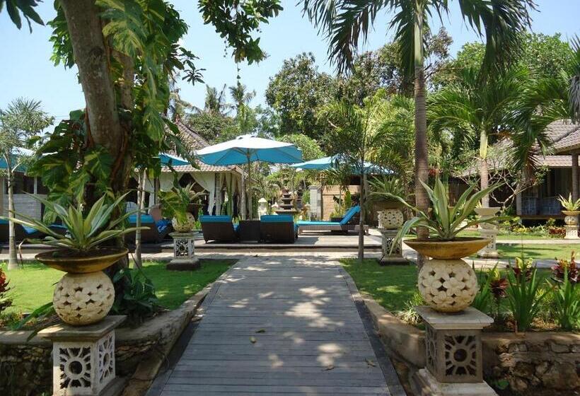 酒店 The Palm Grove Villas