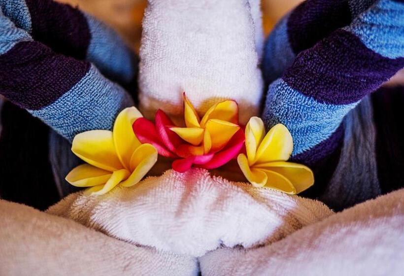 酒店 The Palm Grove Villas