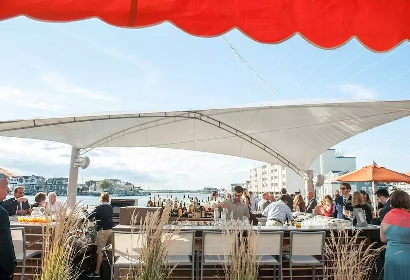 Hotelli The Reeds At Shelter Haven