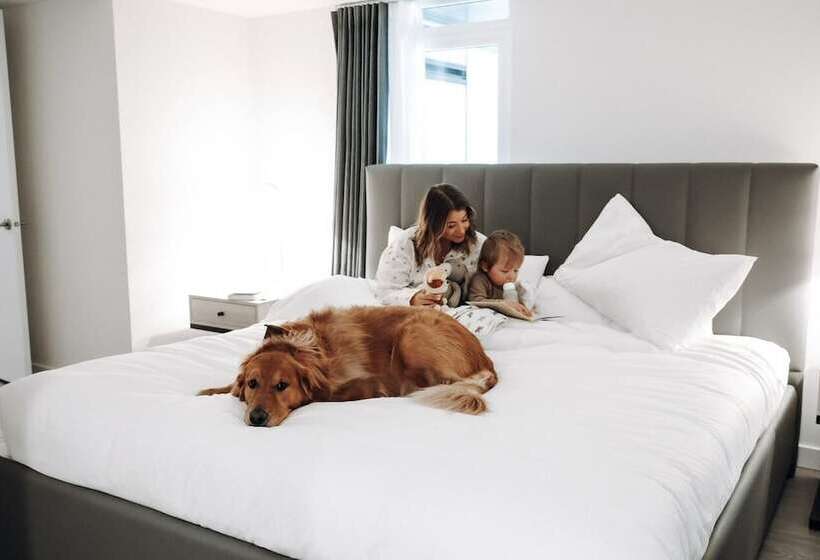 Level Los Angeles   Downtown South Olive