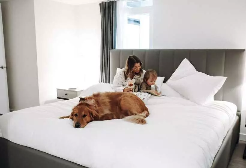 Level Los Angeles   Downtown South Olive