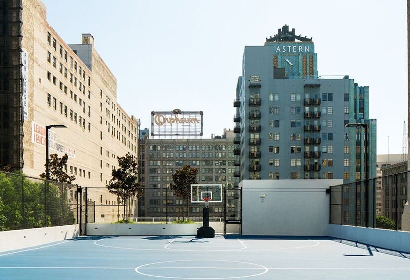 Level Los Angeles   Downtown South Olive