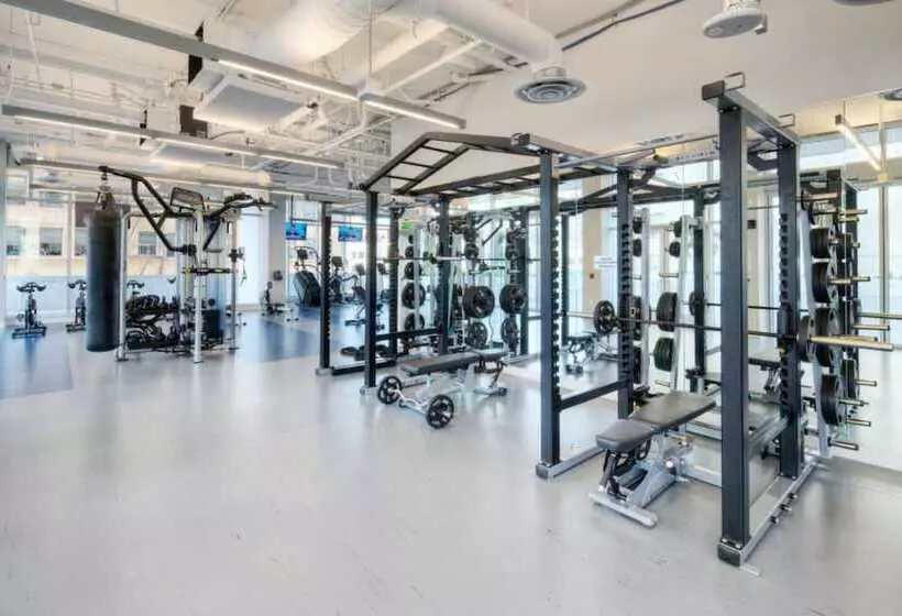 Level Los Angeles   Downtown South Olive