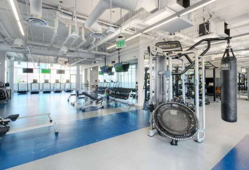 Level Los Angeles   Downtown South Olive