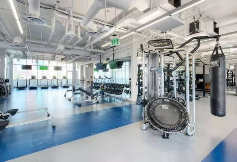 Level Los Angeles   Downtown South Olive