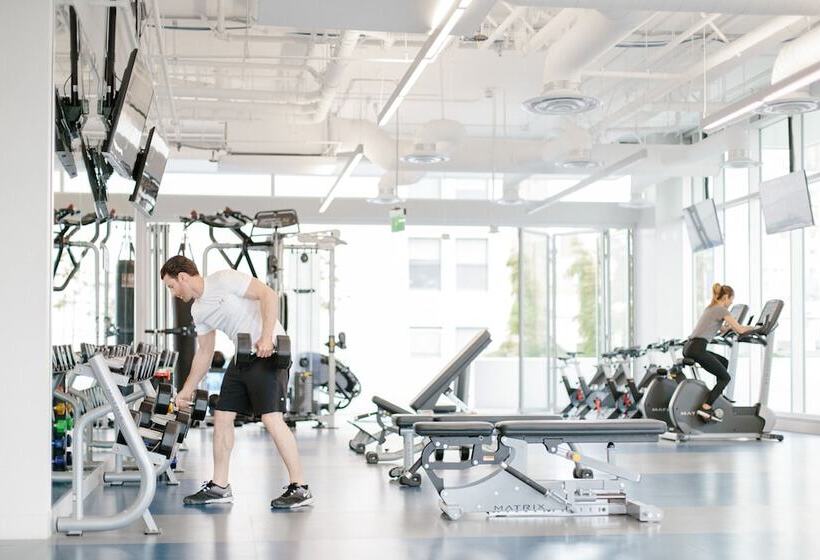 Level Los Angeles   Downtown South Olive