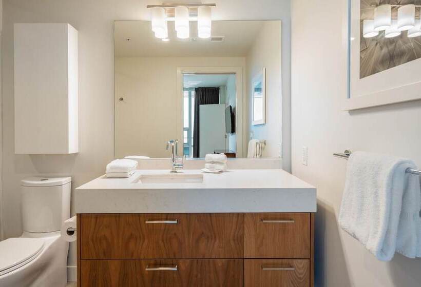 Level Los Angeles   Downtown South Olive