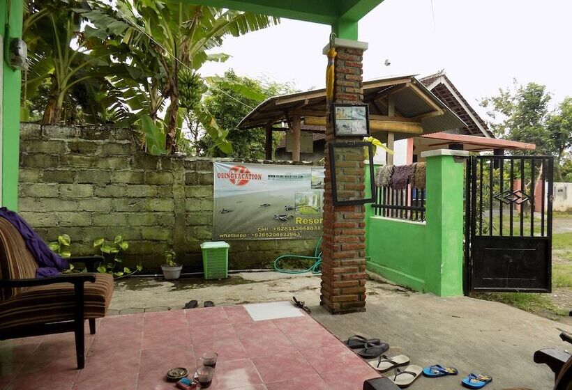 بنسيون Osingvacation