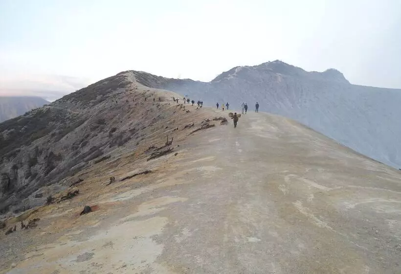 펜션 Osingvacation