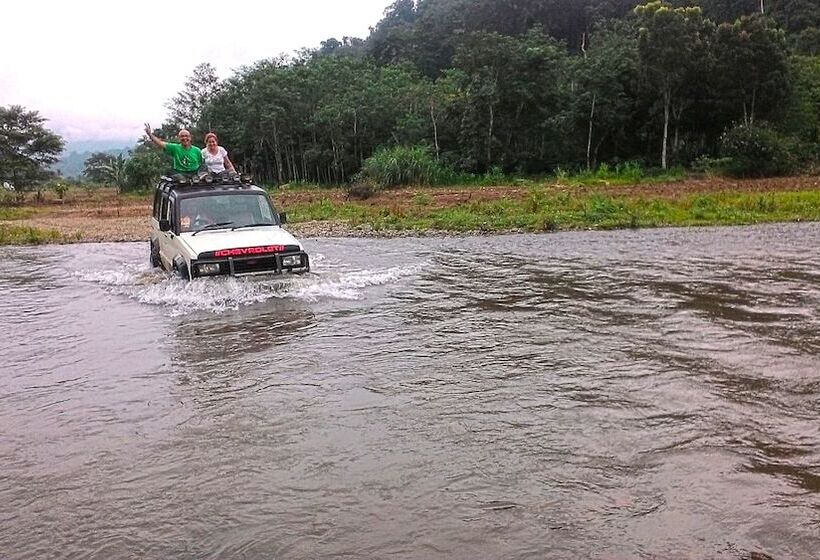 بنسيون Osingvacation