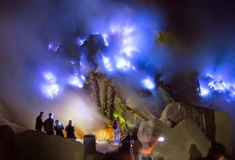 بنسيون Osingvacation