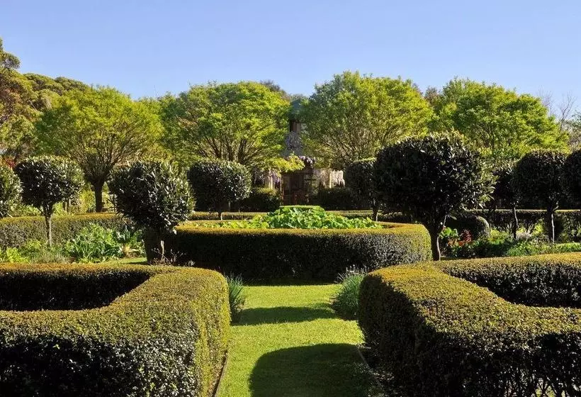 بنسيون Tree Elle