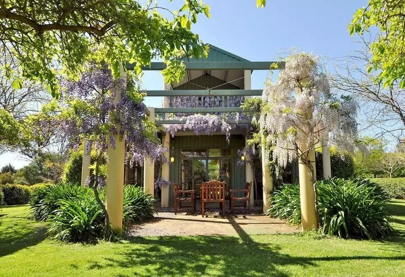 بنسيون Tree Elle