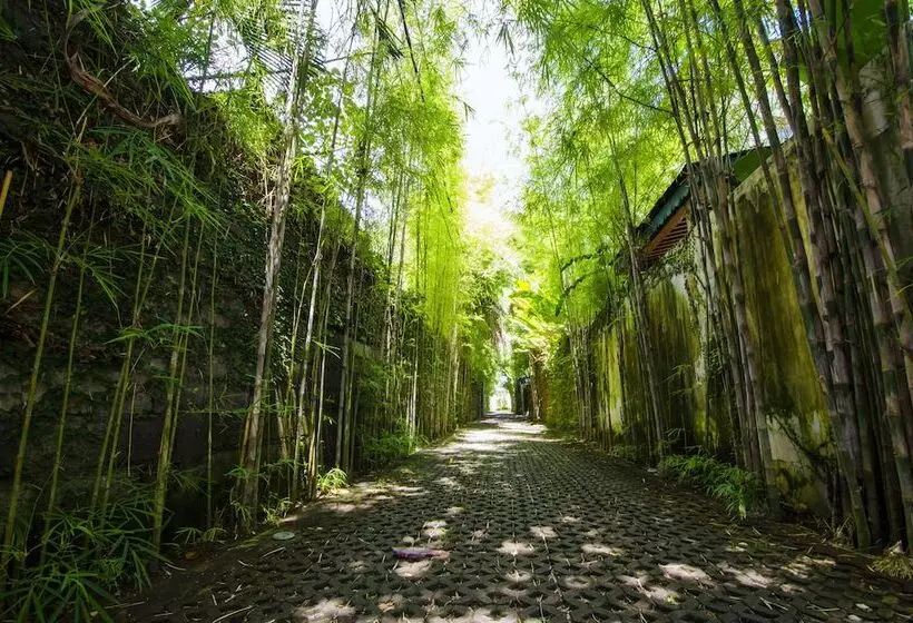 Pulau Boutique Villas