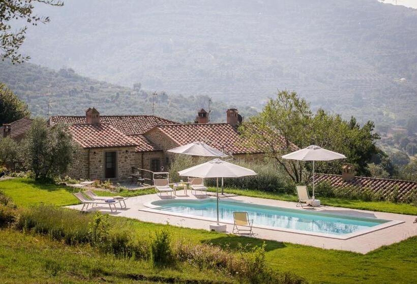 Bed and Breakfast San Martino Agli Ulivi