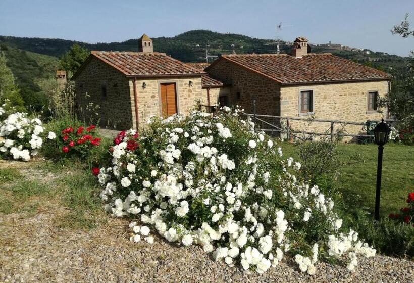 Bed and Breakfast San Martino Agli Ulivi