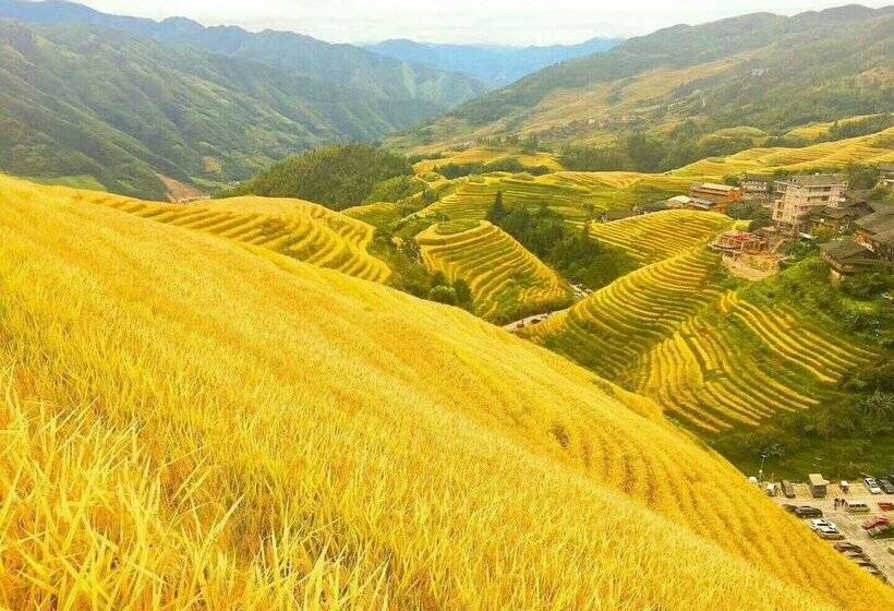 Dragon S Den Hostel In Longji Rice Terraces
