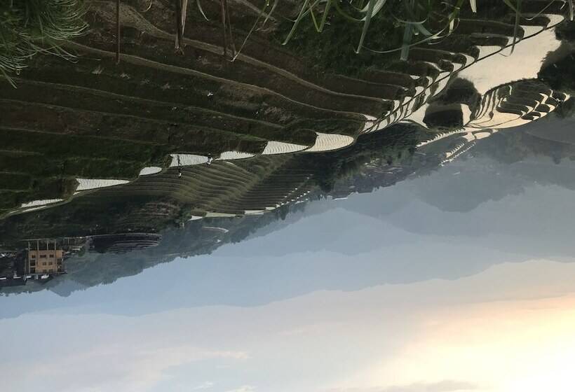 Dragon S Den Hostel In Longji Rice Terraces