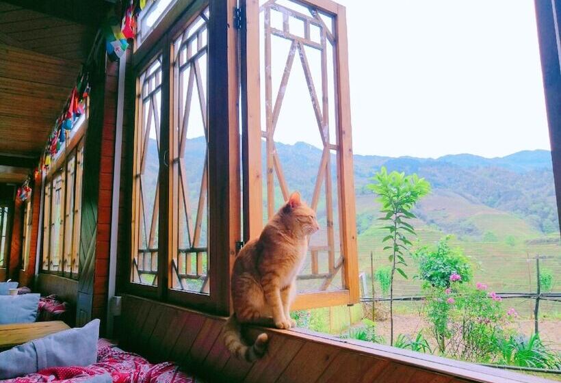 Dragon S Den Hostel In Longji Rice Terraces