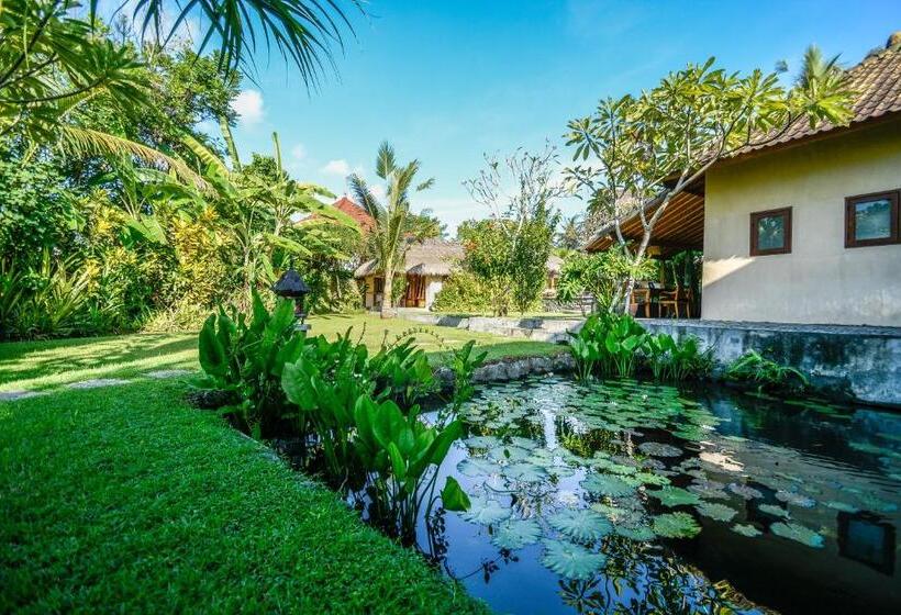 Отель Aashaya Jasri Resort