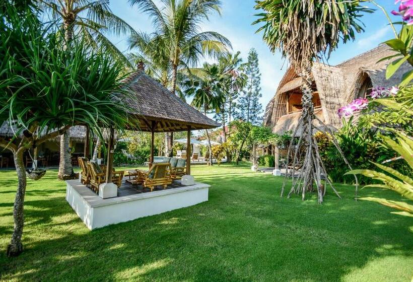 Отель Aashaya Jasri Resort