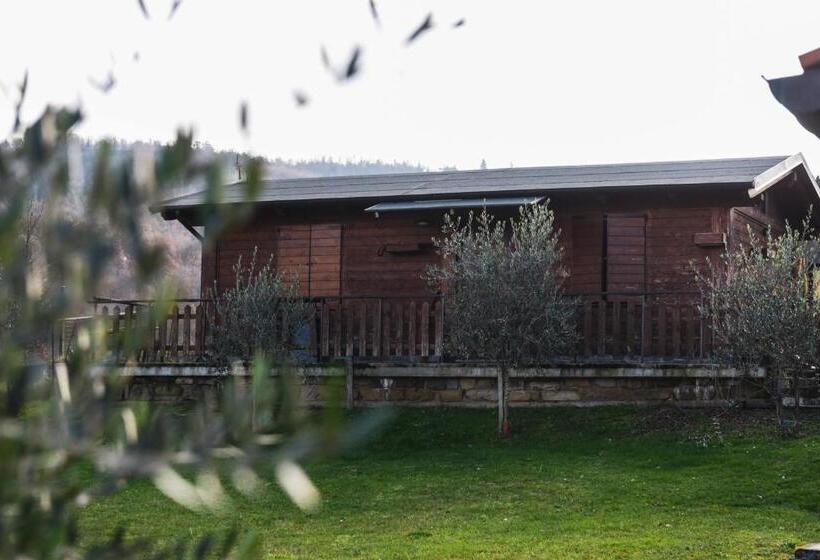 酒店 Agriturismo Ponte Di Riocchio