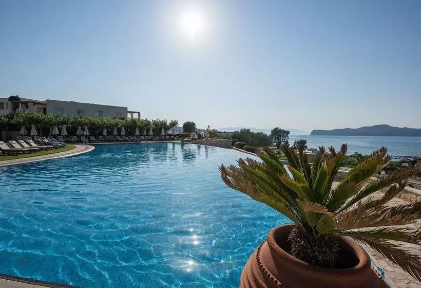 ホテル Cretan Dream Royal Luxury Suites  Adults Only