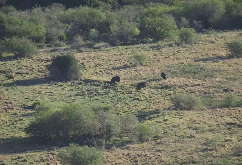 Hotelli Pure Nature Familodge