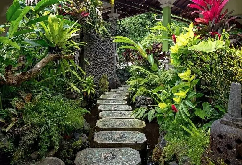ペンション Padma Ubud Retreat