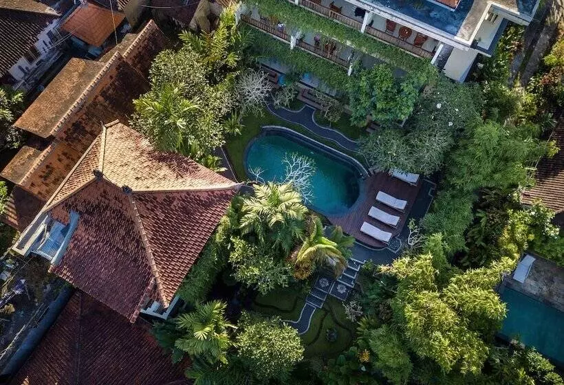 ペンション Padma Ubud Retreat
