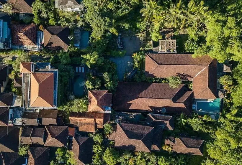 ペンション Padma Ubud Retreat