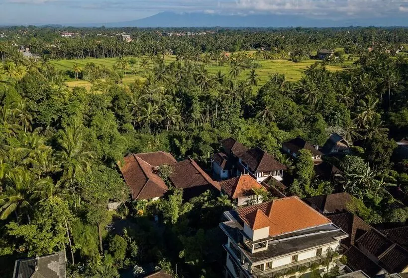 ペンション Padma Ubud Retreat