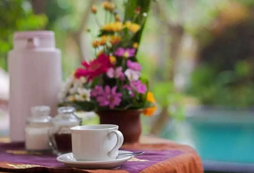 ペンション Padma Ubud Retreat