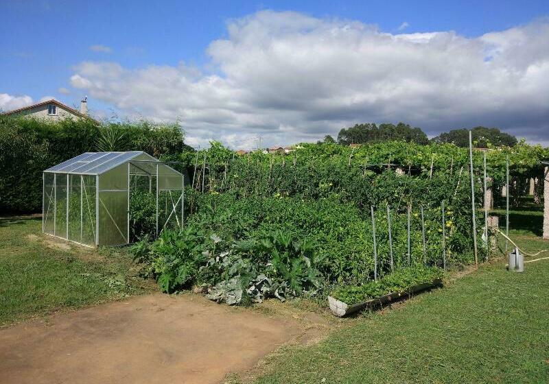 Enoturismo Lagar De Costa