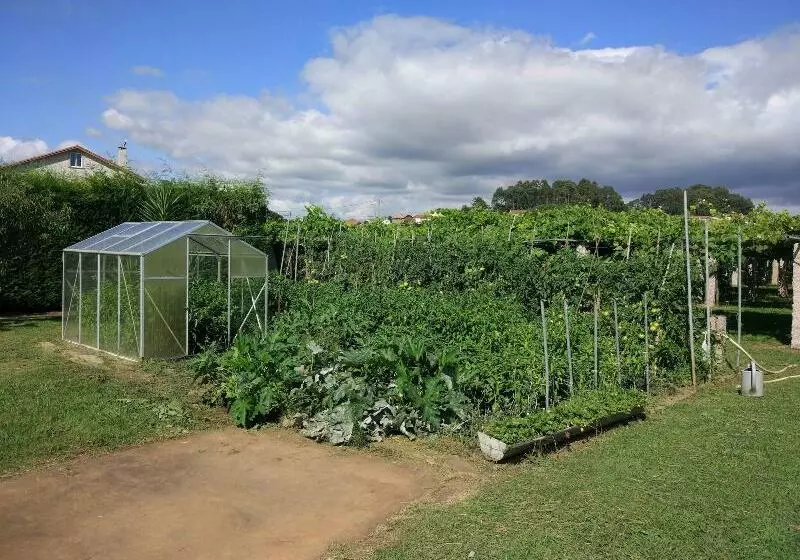 Enoturismo Lagar De Costa