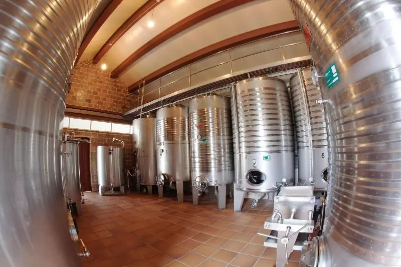 Enoturismo Lagar De Costa