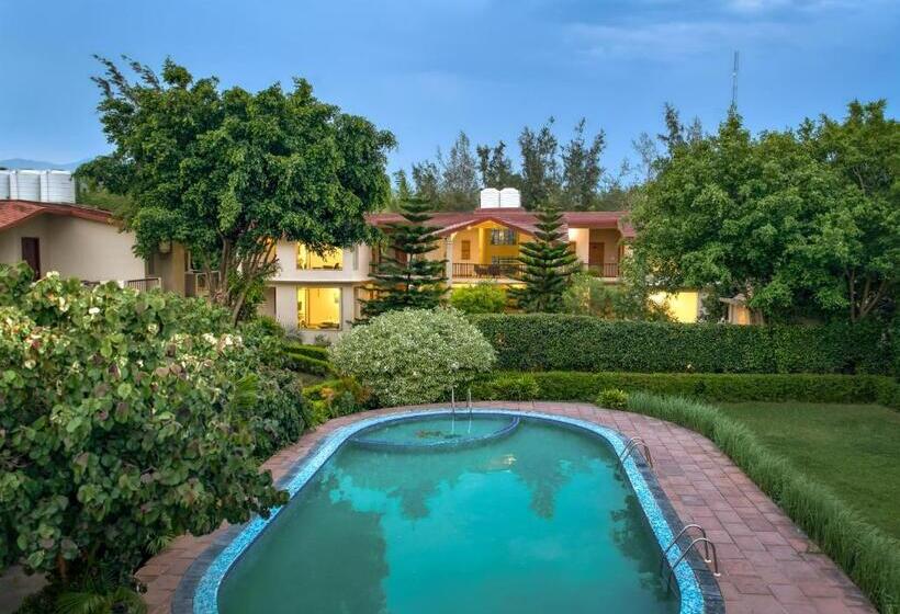 فندق Alaya Resorts & Spa