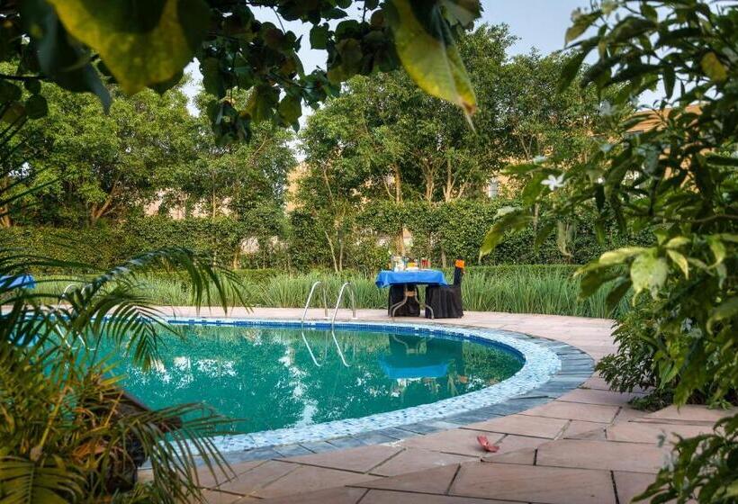 فندق Alaya Resorts & Spa