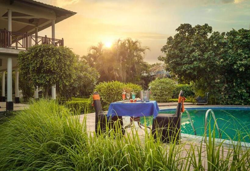 فندق Alaya Resorts & Spa