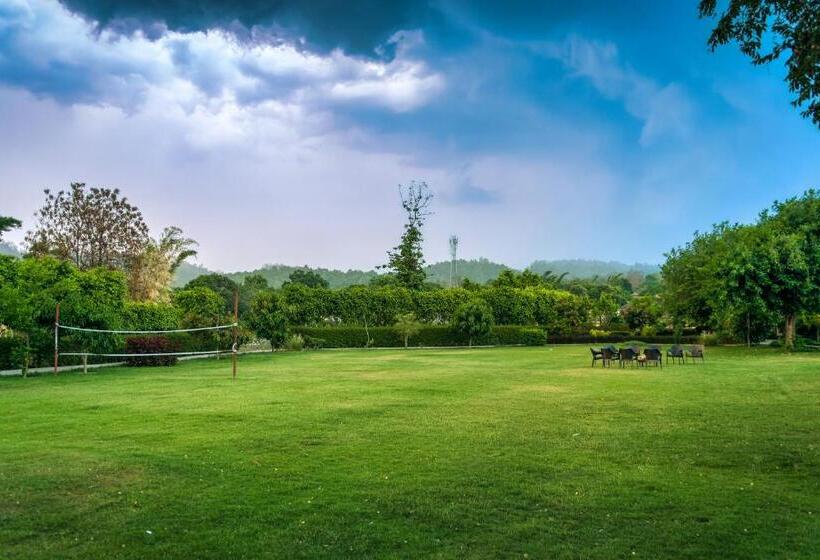 فندق Alaya Resorts & Spa