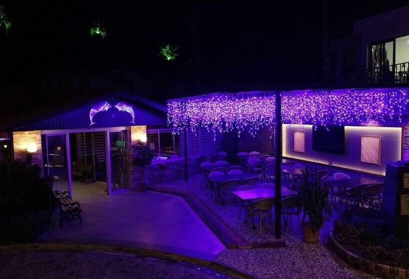 فندق Dolphin Apart &