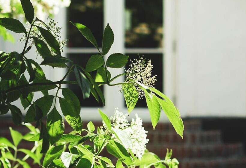 فندق Fladbro Kro