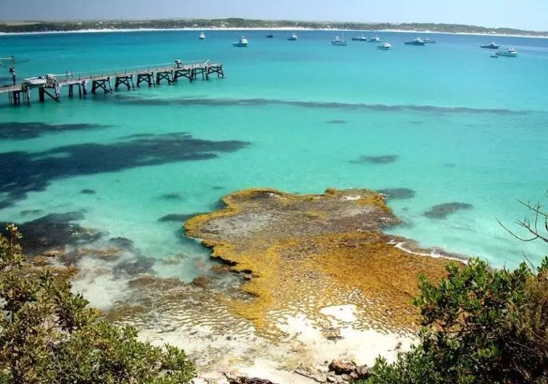 Hotelli Ecopia Retreat Wildlife Sanctuary