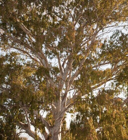 펜션 The Queen Of Calitzdorp