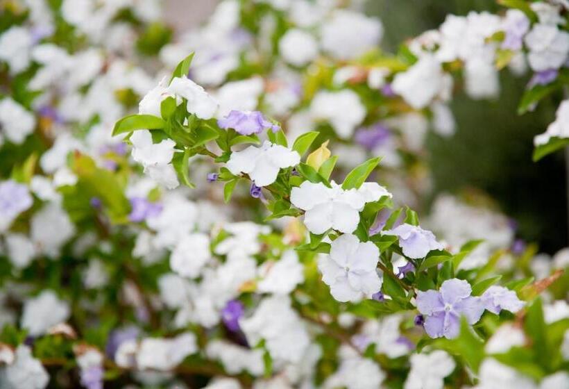 펜션 The Queen Of Calitzdorp