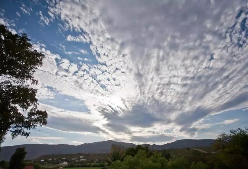 Majatalo The Queen Of Calitzdorp