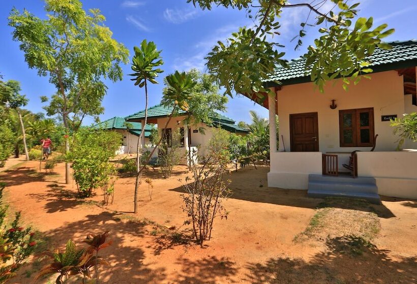 אתר נופש Paper Moon Kudils