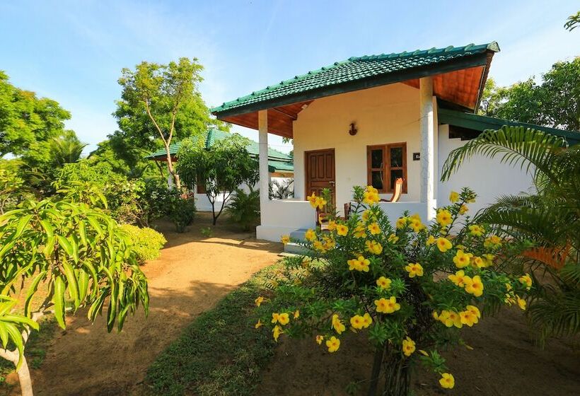 אתר נופש Paper Moon Kudils